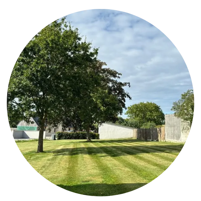 abbatage d arbres argol