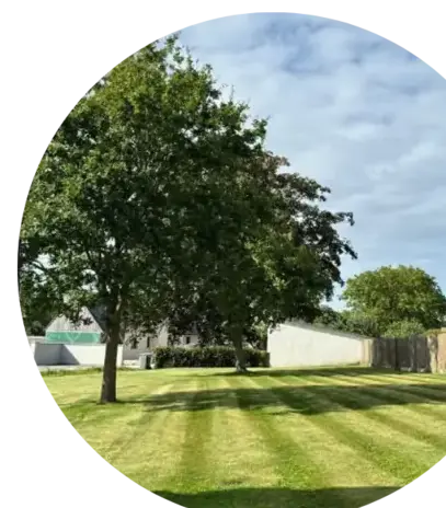 abbatage d'arbres Crozon-1