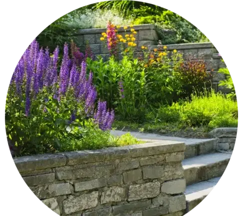 abbatage d'arbres à Crozon - image 4