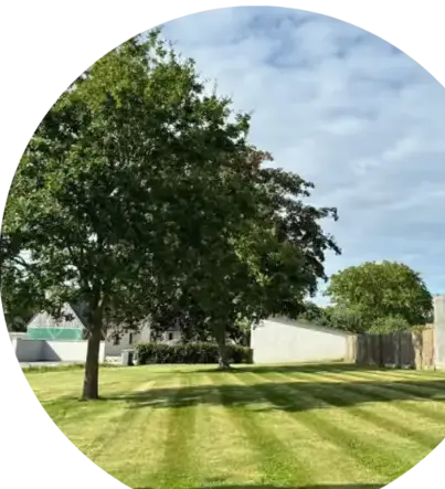 abbatage d'arbres Port-Launay-5
