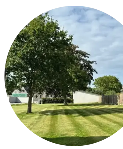 abbatage d'arbres Saint-Nic-1