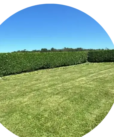 dallage à Crozon - image 2