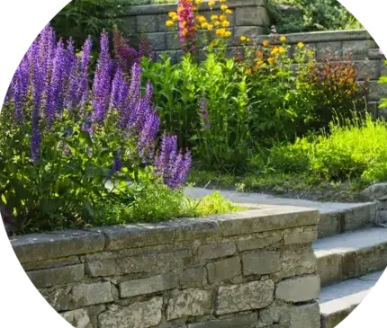 dallage à Crozon - image 4