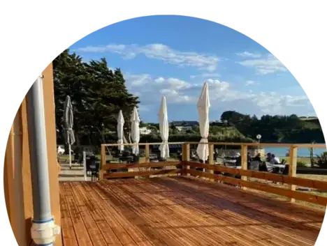 élagage Plomodiern-1