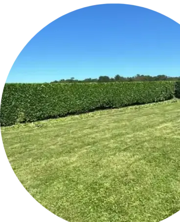 jardinier Argol-2