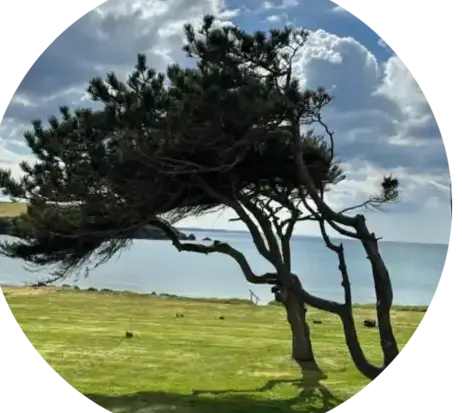 jardinier à Crozon - image 3