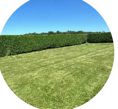 jardinier à Crozon - image 4