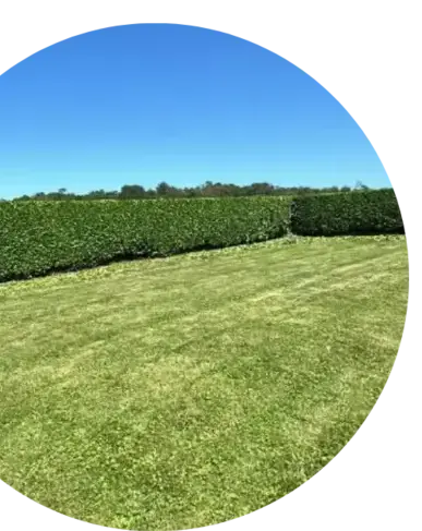 jardinier Dinéault-2