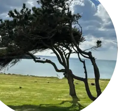 jardinier Dinéault-3