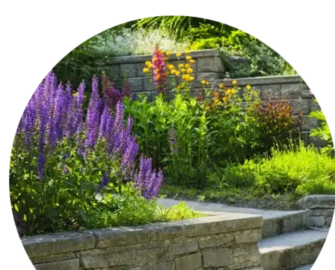 jardinier Dinéault-5