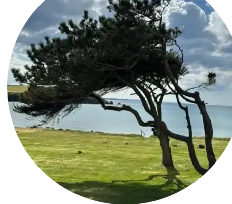 jardinier Lanvéoc-4