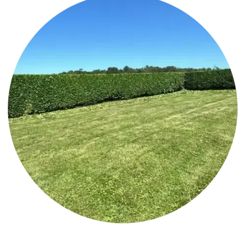 jardinier Lanvéoc-5
