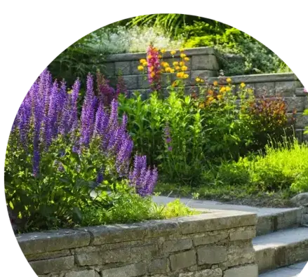 jardinier Plomodiern-3