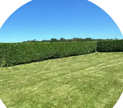 jardinier Port-Launay-3