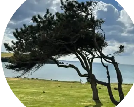 jardinier Port-Launay-4