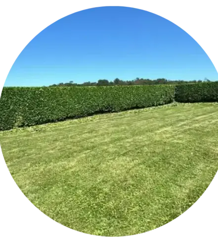 pavage à Crozon - image 4