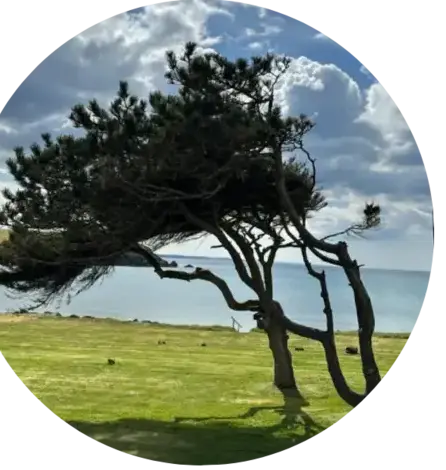 paysagiste à Crozon - image 3