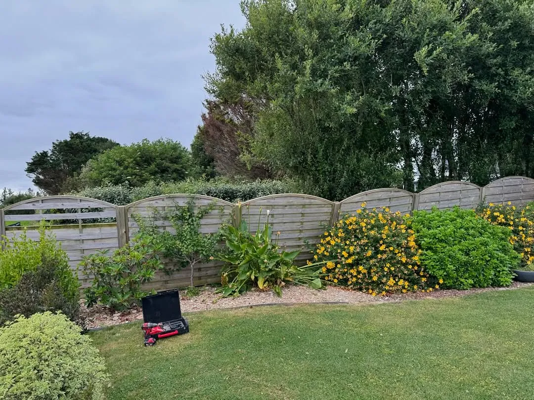 before-image