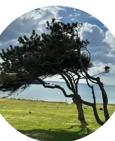 pose de terrasse en bois Crozon-1