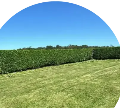 pose de terrasse en bois Crozon-5