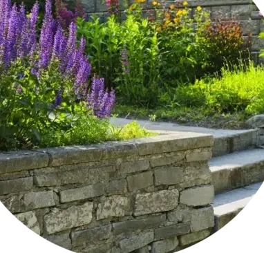 taille de haie à Crozon - image 4