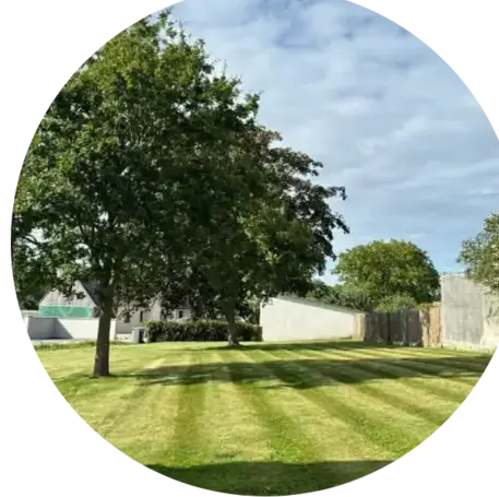 taille de haie Port-Launay-5